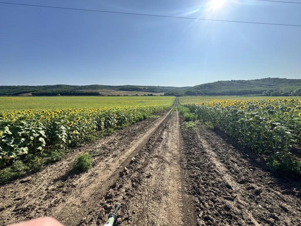 Első nordic walking edzős hetem – avagy: hogyan fogyjak le?